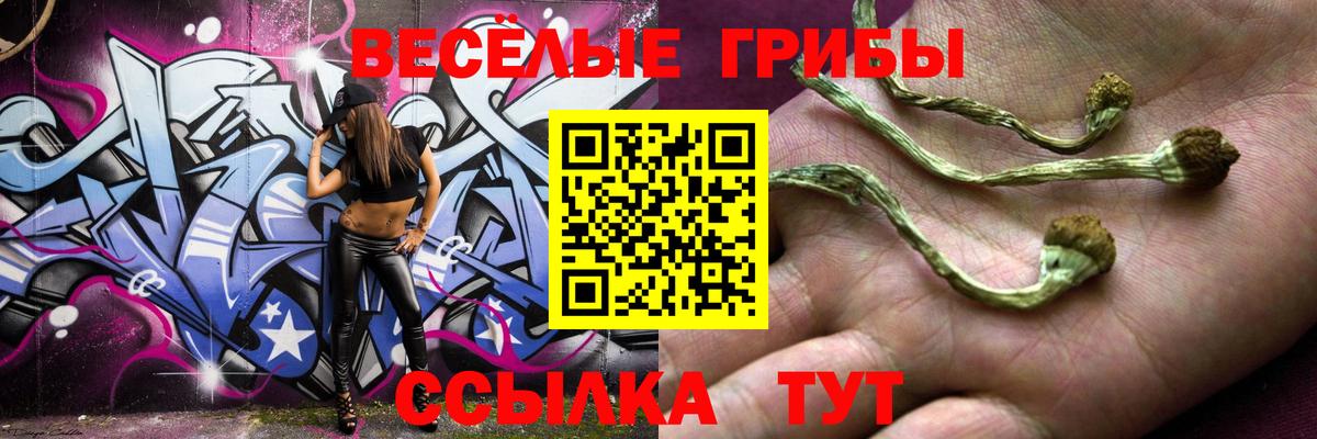 Псилоцибиновые грибы мухоморы Белореченск